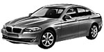 BMW F10 P2064 Fault Code